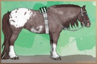 Horse Color:White Spotted Chocolate Blue Roan Splash Frame Varnish 