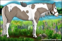 Horse Color:Silver Grullo Splash Tobiano 