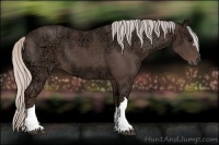 Horse Color:Silver Black Ice