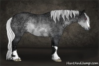 Horse Color:Silver Brown Chinchilla Ice Rabicano