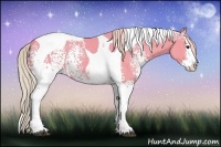 Horse Color:Watercolor White Spotted Silver Black Splash Tobiano
