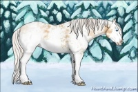 Horse Color:White Spotted Silver Bay Ice Dun Sabino Splash 