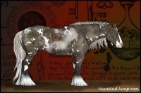 Horse Color:White Spotted Silver Grullo Ice Splash