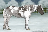 Horse Color:White Spotted Silver Black 