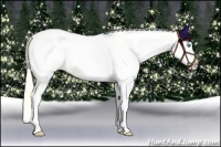 Horse Color:White Spotted Gold Cream Champagne 