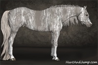 Horse Color:Silver Black Ice 