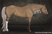 Horse Color:Silver Bay Dun