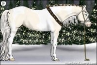 Horse Color:Cremello Dun Tobiano