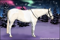 Horse Color:Perlino Dun Tobiano 