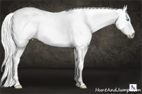 Horse Color:Gray Cremello Dun Tobiano 