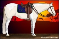 Horse Color:Perlino Dun Tobiano 