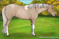Horse Color:Silver Blue Roan Pearl Tobiano Frame 