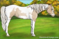 Horse Color:Silver Blue Roan Pearl Tobiano Frame