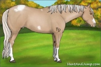 Horse Color:Silver Blue Roan Pearl Tobiano Frame 