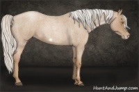 Horse Color:Silver Blue Roan Pearl Frame