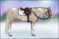 Horse Color:Silver Blue Roan Pearl Tobiano Frame 