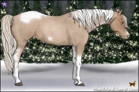 Horse Color:Silver Blue Roan Pearl Tobiano Frame 
