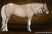 Horse Color:Silver Blue Roan Pearl Tobiano 