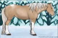Horse Color:Silver Black Pearl Tobiano Frame 