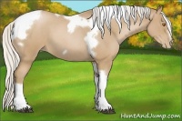 Horse Color:Silver Blue Roan Pearl Tobiano Frame