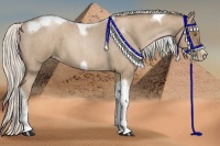 Horse Color:Silver Blue Roan Pearl Tobiano Frame