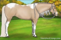 Horse Color:Silver Blue Roan Pearl Tobiano Frame 