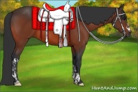 Horse Color:Bay and Bay