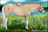 Horse Color:Silver Blue Roan Pearl Tobiano Frame 