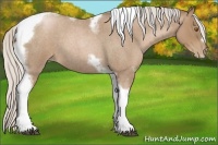 Horse Color:Silver Blue Roan Pearl Tobiano Frame
