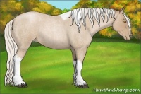 Horse Color:Silver Blue Roan Pearl Tobiano Frame