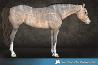 Horse Color:Buckskin Ice