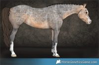 Horse Color:Buckskin Ice 