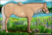 Horse Color:Silver Amber Champagne Frame 