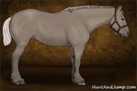 Horse Color:Silver Grullo 