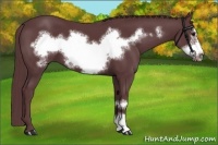 Horse Color:Chocolate Black Frame 