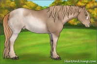 Horse Color:Liver Chestnut Pearl 