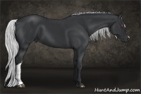 Horse Color:Silver Black Chinchilla