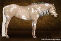 Horse Color:White Spotted Silver Blue Roan Pearl 