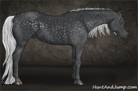Horse Color:Silver Black Chinchilla