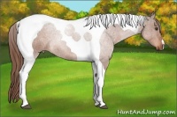 Horse Color:Chestnut Tobiano