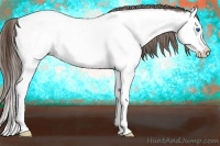 Horse Color:Liver Red Roan Splash Appaloosa 