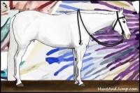 Horse Color:Silver Buckskin Dun Appaloosa 