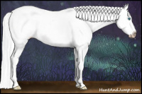 Horse Color:Gray Chocolate Palomino Pearl Sabino Frame Appaloosa Rabicano 