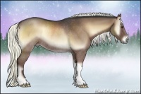 Horse Color:Liver Red Onyx Rabicano 
