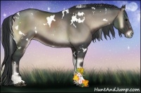 Horse Color:White Spotted Blue Onyx Sabino