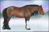 Horse Color:Brown Rabicano 