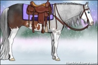 Horse Color:Brown Splash 