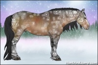 Horse Color:Bay Ice Sabino Rabicano 