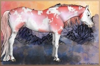 Horse Color:Watercolor White Spotted Chocolate Palomino Onyx Splash Rabicano