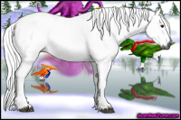 Horse Color:Gray Black 